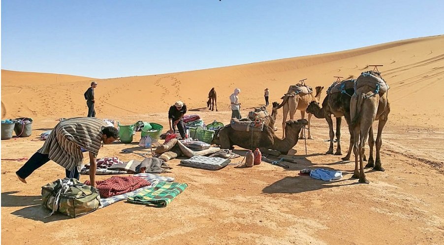 7 days Zagora Trek Tours by Camels Erg Chigaga desert