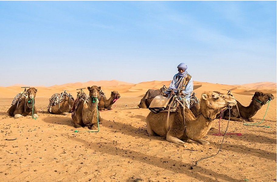 Camel Ride from Marrakech to Merzouga Erg Chebbi desert