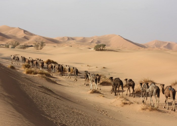 5 Days Private Desert tour from Agadir to Merzouga